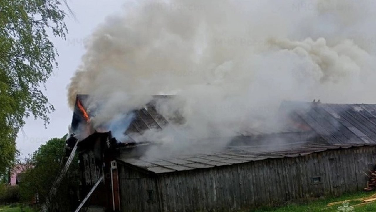 Главная картинка новости: Во Владимирской области при пожаре погиб мужчина
