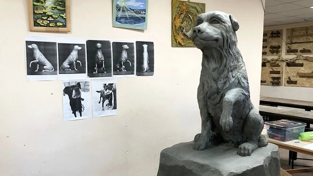 Главная картинка новости: Во Владимирской области установят памятник бездомному псу