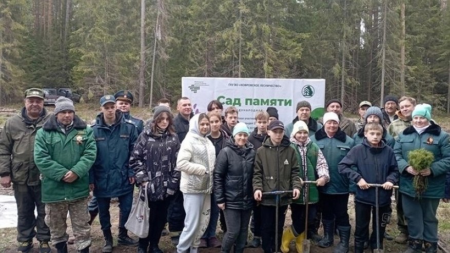 Главная картинка новости: Во Владимирской области высадили более 30 тысяч деревьев