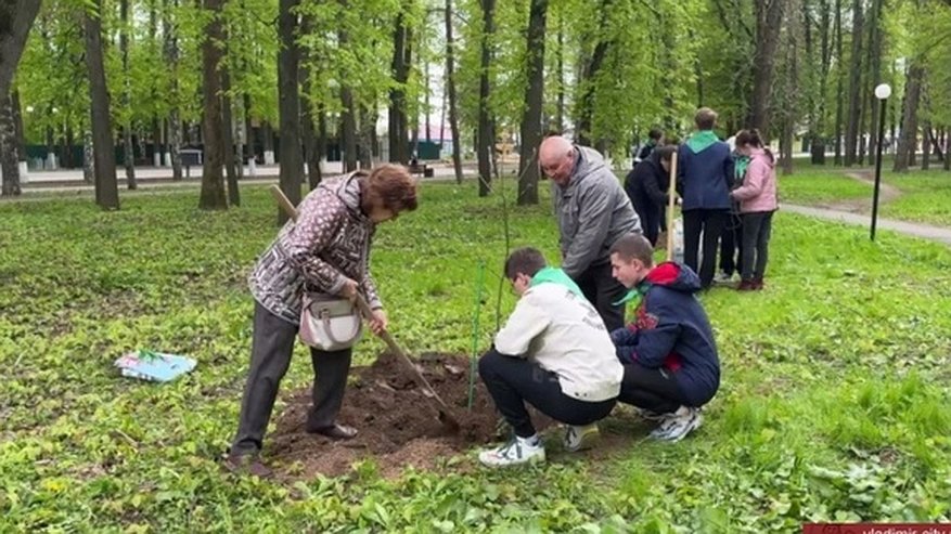 Главная картинка новости: Во Владимире в Центральном парке высадили 10 красных дубов