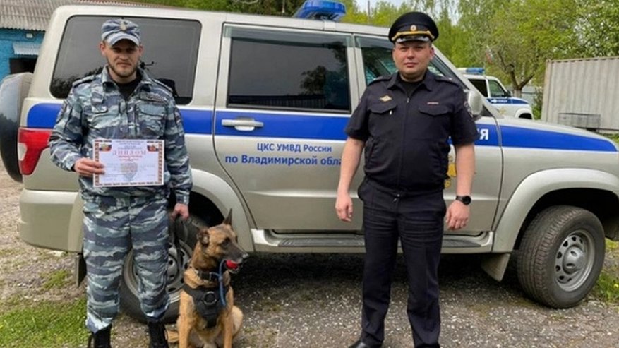 Главная картинка новости: Во Владимирской области выбрали лучшего среди полицейских-кинологов