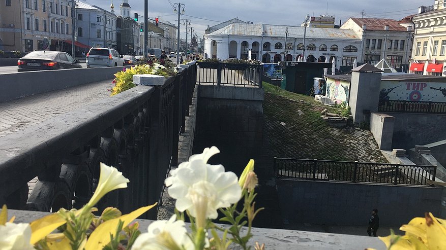 Главная картинка новости: Погода обрадует: синоптики представили прогноз на оставшиеся майские дни