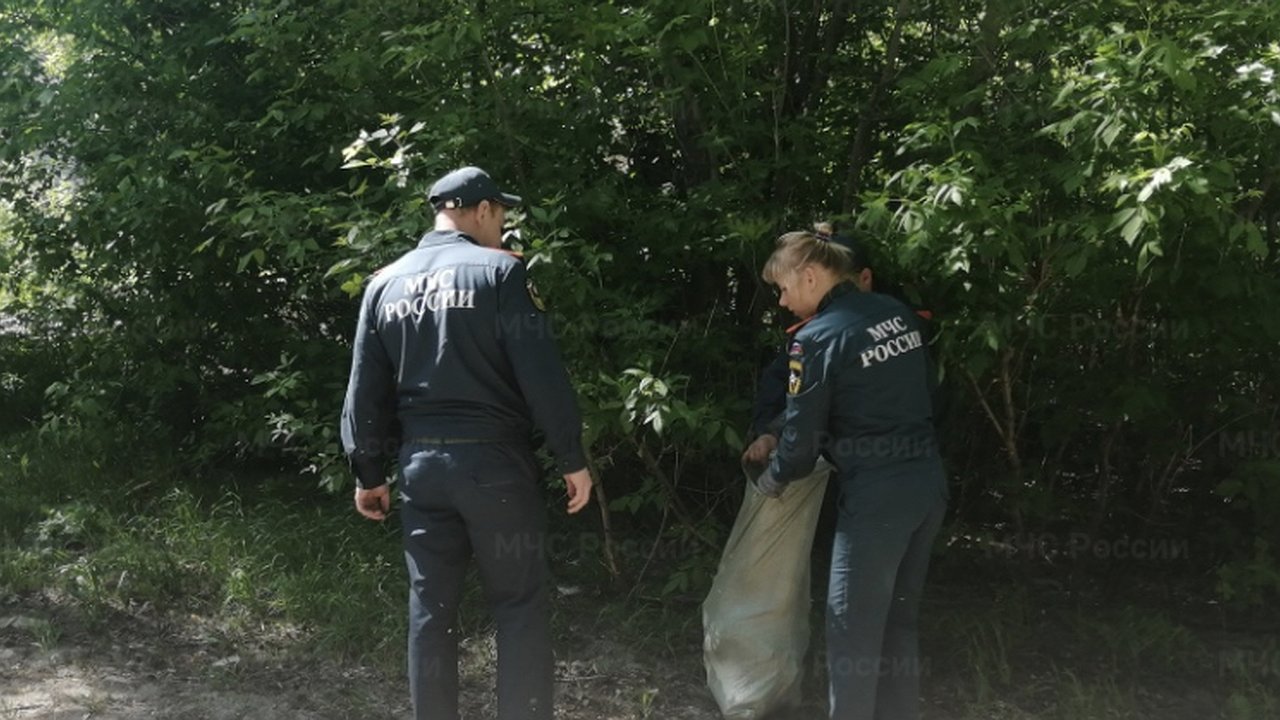 Главная картинка новости: В городе Вязники к концу весны прошла акция «Чистый берег»