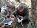 Леса Гусь-хрустального района защитят от шелкопряда особым препаратом