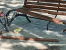 Владимирцы возмутились административным безразличием к "Патриоту"