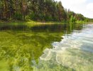 Во Владимирской области определили самое чистое озеро