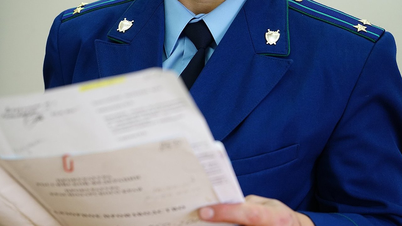 Главная картинка новости: Для порядка на ЛЭП Петушинского района понадобился прокурор