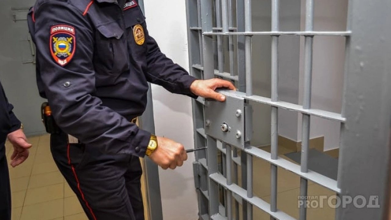 Главная картинка новости: Россиян хотят отправлять в тюрьму за ввоз таких товаров