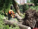 Ночь и день: владимирские коммунальщики убирают город после урагана