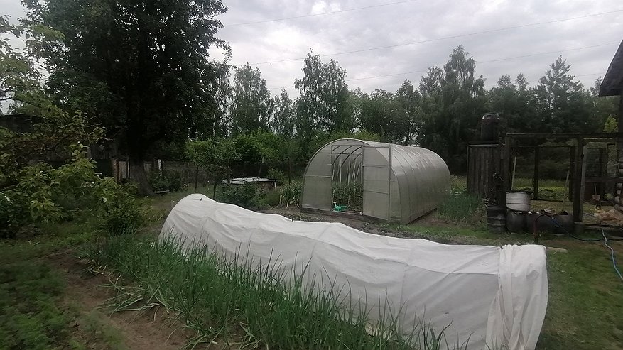 Главная картинка новости: "Забудьте про золу и навоз": пользуйтесь этим удобрением и вы будете собирать урожай ведрами