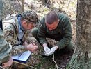 Во Владимирской области пересчитали леса