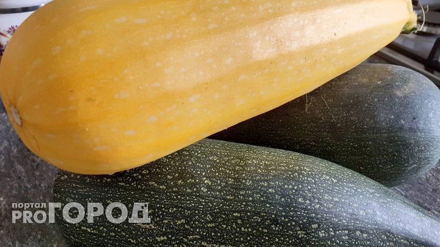 Главная картинка новости: Кабачки будут плодоносить без остановки до зимы: в июле нужно полить их этим чудо-эликсиром