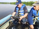 Статистика смертей в воде пополняется новыми случаями