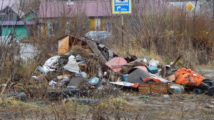 Главная картинка новости: Вывозом мусора во Владимире заинтересовалась прокуратура