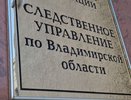 Последние полгода владимирские подростки чаще всего совершали кражи и грабежи