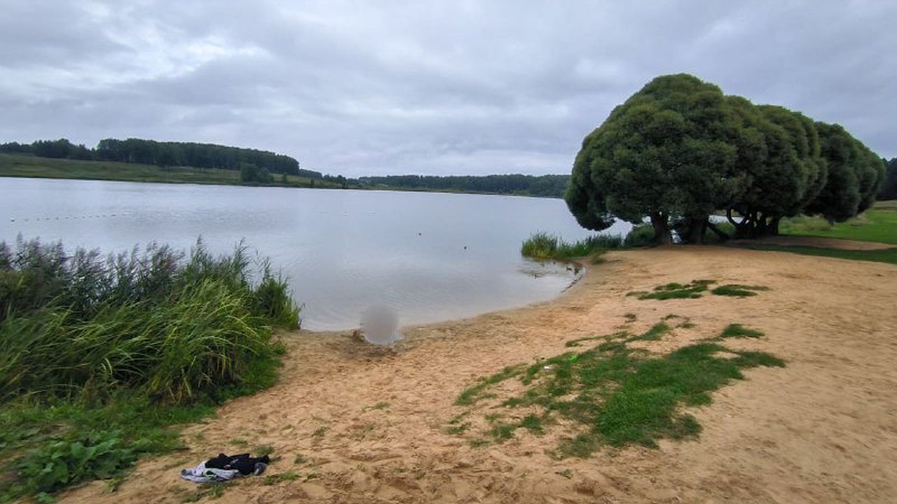 Главная картинка новости: В Александрове расследуют гибель женщины в Дичковском озере