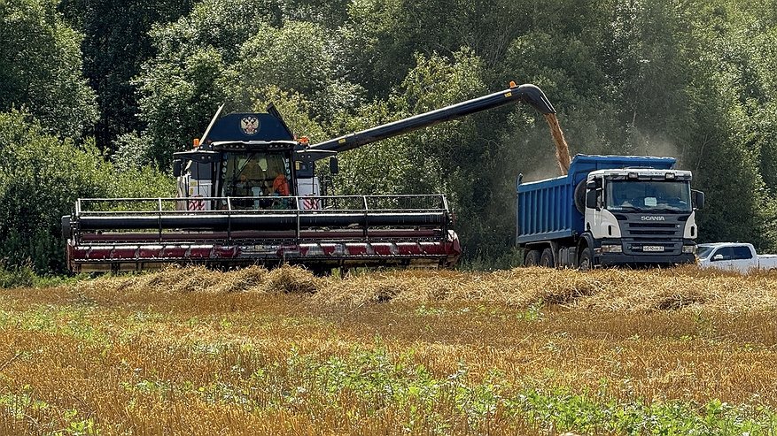 Главная картинка новости: В области продолжаются работы по сбору урожая и заготовке кормов