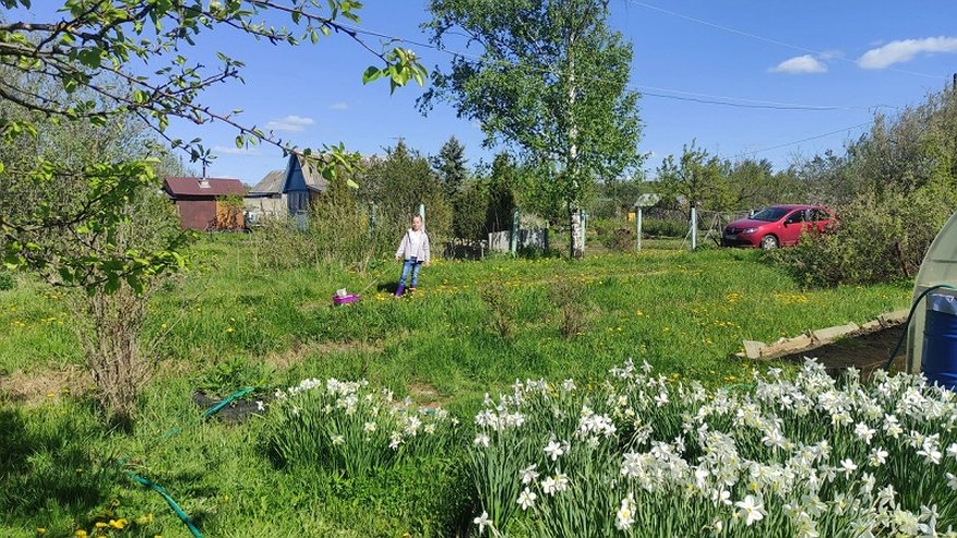 Главная картинка новости: У россиян-землевладельцев могут изъять участки: новый закон