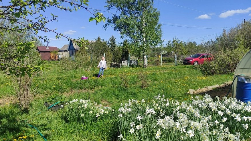 Главная картинка новости: У россиян-землевладельцев могут изъять участки по новому закону