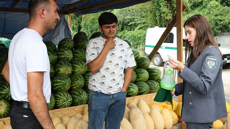 Во Владимире провели рейд по фруктово-овощным ярмаркам