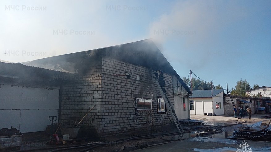 В Красной Горбатке сгорела овощная база