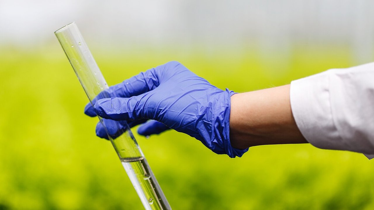 Главная картинка новости: Областное сельхозпредприятие ответит за ненадлежащее хранение агрохимикатов