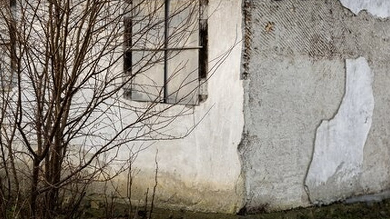 Главная картинка новости: Прокуратура добивается сноса аварийных домов в Гусь-Хрустальном