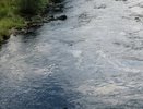 Новый федеральный проект «Вода России» во Владимирской области