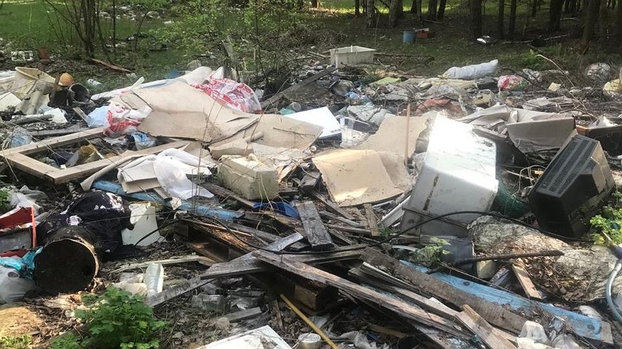 Главная картинка новости: Природоохранная прокуратура обнаружила свалку в Судогодском районе