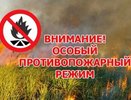 Во Владимирской области вновь введён особый противопожарный режим