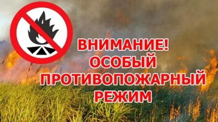 Во Владимирской области вновь введён особый противопожарный режим