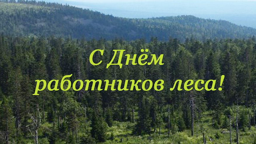 Поздравление Губернатора А.А.Авдеева с Днём работников леса, выпавшим на 15 сентября