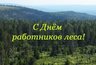 Поздравление Губернатора А.А.Авдеева с Днём работников леса, выпавшим на 15 сентября