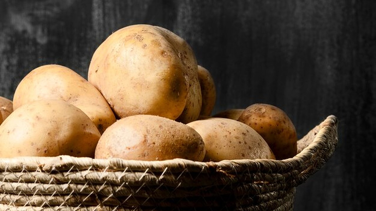 Главная картинка новости: В Меленковском районе Владимирской области отпраздновали День картошки