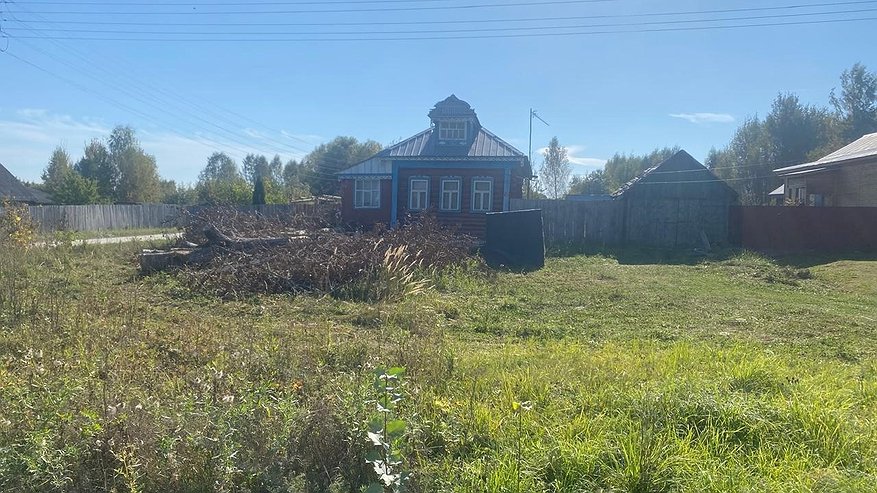 Главная картинка новости: Добилась: у дома жительницы Камешковского района спилили аварийное дерево