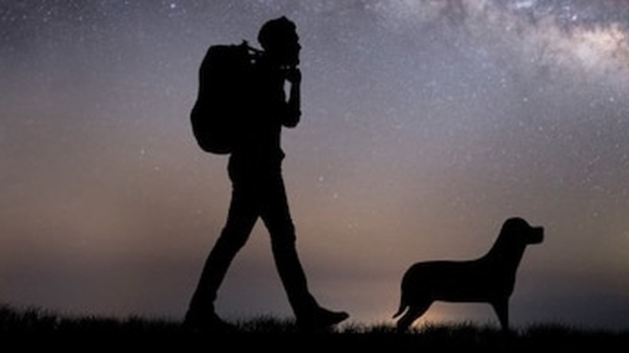 Главная картинка новости: С 27 сентября жители области могут наблюдать одну из самых красивых комет нашего времени