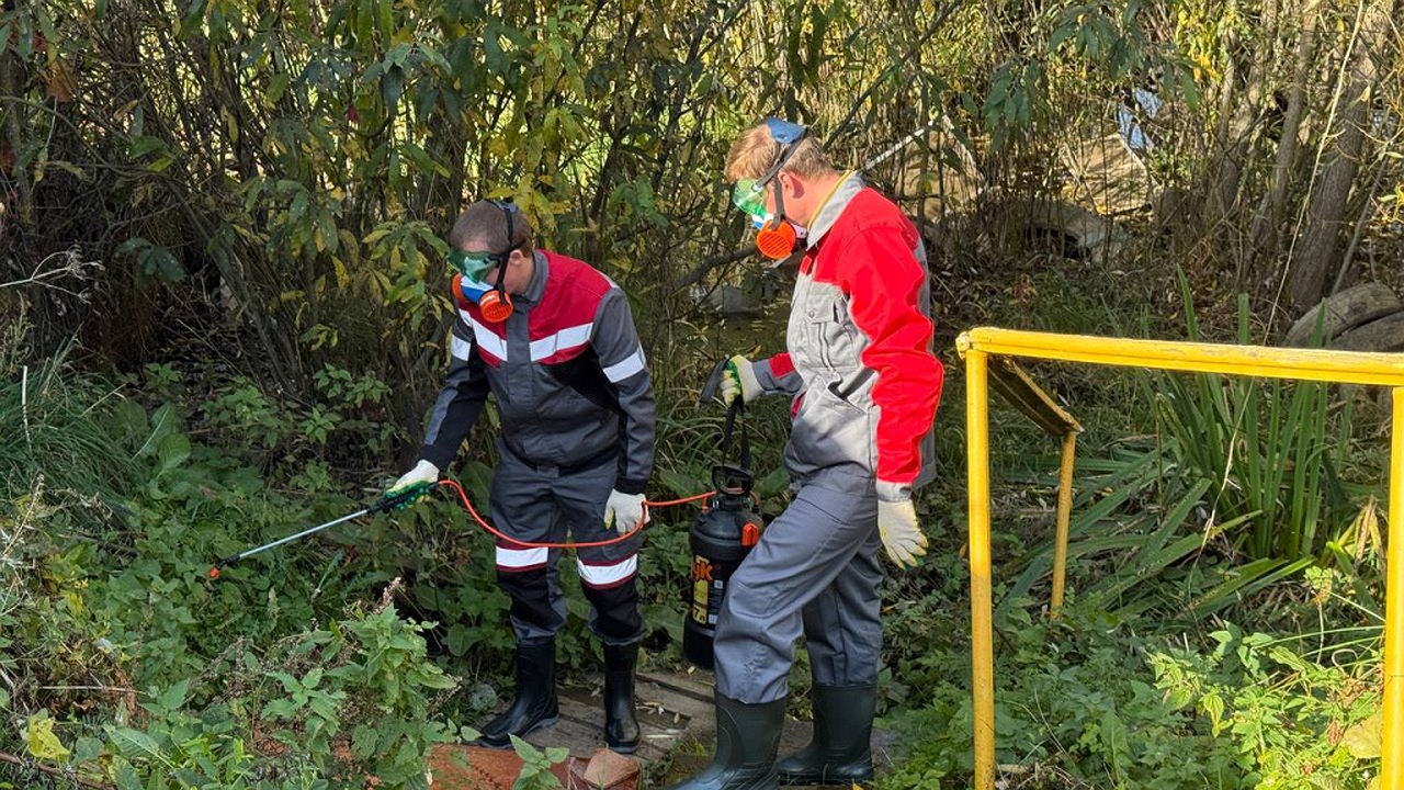 Главная картинка новости: На отравленном ртутью роднике Владимира проведено обеззараживание