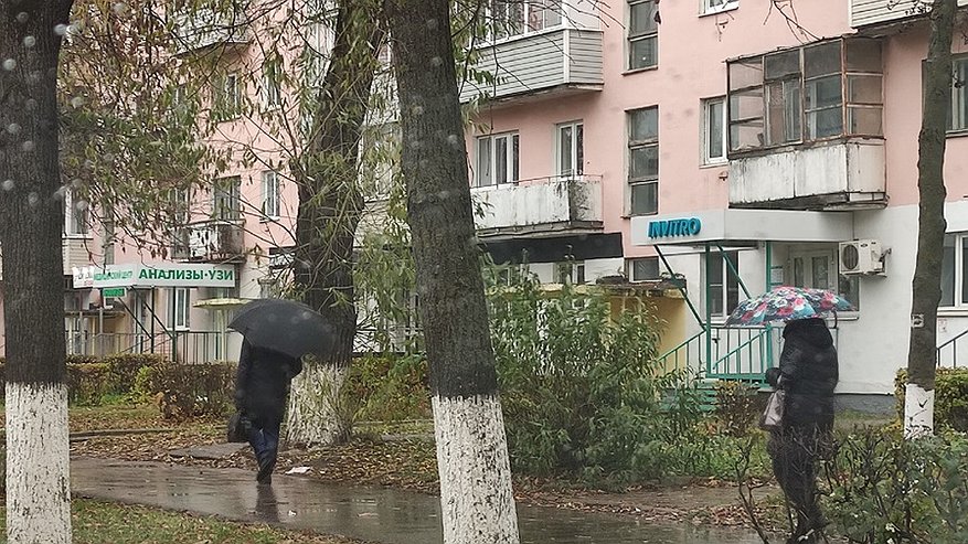 Главная картинка новости: Жизнь окрасится яркими красками: астролог Глоба назвала пять знаков, которых ждет большой переворот этой осенью