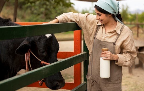Бизнес в сельскохозяйственном секторе Владимирской области получил финансирование
