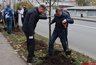 Во Владимире началась высадка новых деревьев в замещение уничтоженным вредителями