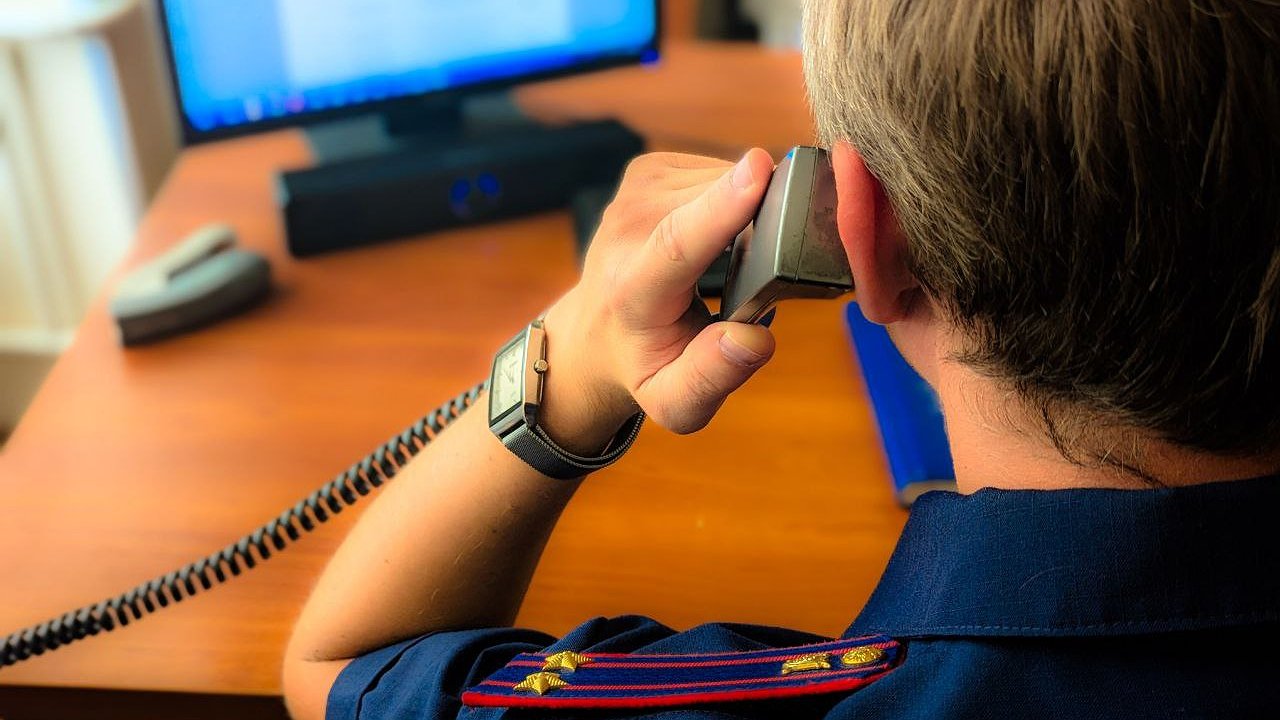 Главная картинка новости: СледКом РФ отправил на пересмотр дело о смерти девочки на операционном столе в Пиганово