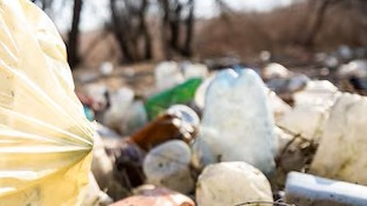 Главная картинка новости: Во Владимире ликвидируют 150 незаконных свалок