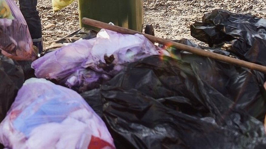Главная картинка новости: Во Владимире прокуратура проведет масштабные проверки на соблюдение норм обращения с отходами