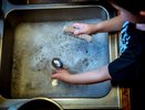 Немцы не ополаскивают посуду после моющего средства — идут на хитрость: причина поражает — дело не в экономии