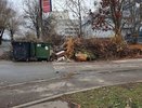 Прокуратура возбудила дело о невывозе мусора из Владимира