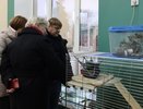 В Патриаршем саду Владимира откроются новые лаборатории