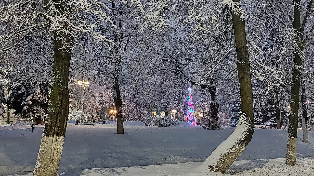 Главная картинка новости: Готовьтесь – погода резко изменится: главный синоптик России предупредил о серьезных перепадах температуры