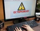 За неделю жители Владимирской области потеряли 13 миллионов рублей