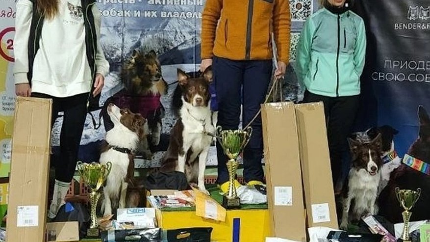 Главная картинка новости: Спортсменка из Владимира взяла «бронзу» турнира по обидиенсу в Санкт-Петербурге