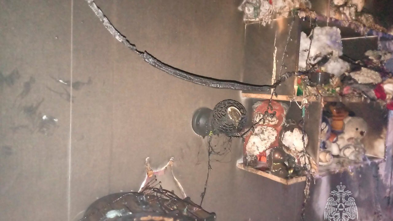 Главная картинка новости: Предварительная причина пожара в доме во Владимире — неисправность гирлянды